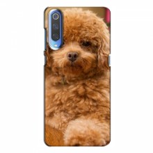 Чехлы с собаками для Huawei P Smart 2020 (VPrint) кудрявый Щенок Бишон - купить на Floy.com.ua