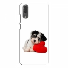 Чехлы с собаками для Huawei P20 (VPrint) Песик - купить на Floy.com.ua