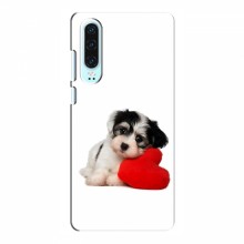 Чехлы с собаками для Huawei P30 (VPrint) Песик - купить на Floy.com.ua