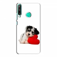 Чехлы с собаками для Huawei P40 Lite e (VPrint) Песик - купить на Floy.com.ua