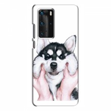 Чехлы с собаками для Huawei P40 Pro (VPrint) Довольный Хаски - купить на Floy.com.ua