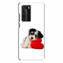 Чехлы с собаками для Huawei P40 Pro (VPrint) Песик - купить на Floy.com.ua