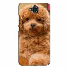 Чехлы с собаками для Huawei Y6 Pro (VPrint) кудрявый Щенок Бишон - купить на Floy.com.ua