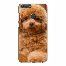 Чехлы с собаками для Huawei Y7 Prime 2018 (VPrint) кудрявый Щенок Бишон - купить на Floy.com.ua