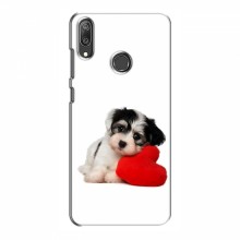 Чехлы с собаками для Huawei Y7 2019 (VPrint) Песик - купить на Floy.com.ua