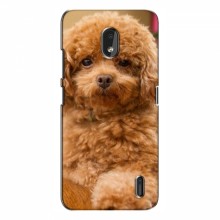 Чехлы с собаками для Nokia 2.2 (2019) (VPrint) кудрявый Щенок Бишон - купить на Floy.com.ua