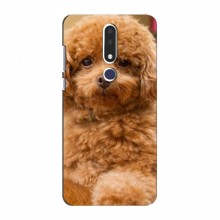 Чехлы с собаками для Nokia 3.1 Plus (VPrint) кудрявый Щенок Бишон - купить на Floy.com.ua