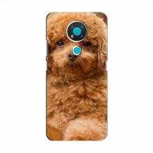 Чехлы с собаками для Nokia 3.4 (VPrint) кудрявый Щенок Бишон - купить на Floy.com.ua