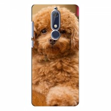 Чехлы с собаками для Nokia 5.1 (VPrint) кудрявый Щенок Бишон - купить на Floy.com.ua