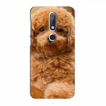 Чехлы с собаками для Nokia 6.1 Plus (VPrint) кудрявый Щенок Бишон - купить на Floy.com.ua