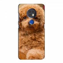 Чехлы с собаками для Nokia 6.2 (2019) (VPrint) кудрявый Щенок Бишон - купить на Floy.com.ua