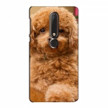 Чехлы с собаками для Nokia 6 2018 (VPrint) кудрявый Щенок Бишон - купить на Floy.com.ua