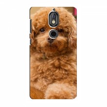 Чехлы с собаками для Nokia 7 (VPrint) кудрявый Щенок Бишон - купить на Floy.com.ua