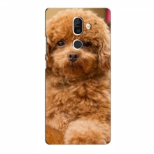 Чехлы с собаками для Nokia 7 Plus (VPrint) кудрявый Щенок Бишон - купить на Floy.com.ua