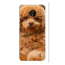 Чехлы с собаками для Nokia C10 (VPrint) кудрявый Щенок Бишон - купить на Floy.com.ua