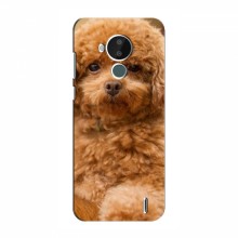 Чехлы с собаками для Nokia C30 (VPrint) кудрявый Щенок Бишон - купить на Floy.com.ua