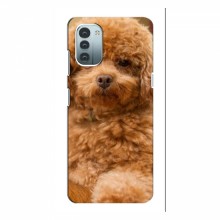 Чехлы с собаками для Nokia G21 (VPrint)