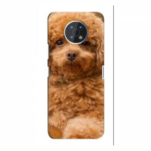 Чехлы с собаками для Nokia G50 (VPrint) кудрявый Щенок Бишон - купить на Floy.com.ua
