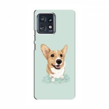 Чехлы с собаками для Motorola Edge 40 Pro (VPrint) - купить на Floy.com.ua
