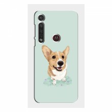 Чехлы с собаками для Motorola MOTO G8 Plus (VPrint) - купить на Floy.com.ua