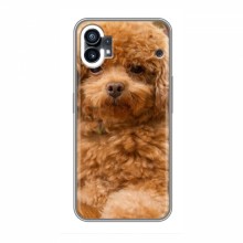 Чехлы с собаками для Nothing Phone 1 (VPrint) кудрявый Щенок Бишон - купить на Floy.com.ua