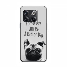 Чехлы с собаками для OnePlus 10T (VPrint) Смешной Мопс - купить на Floy.com.ua