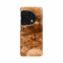Чехлы с собаками для OnePlus 11 (VPrint) кудрявый Щенок Бишон - купить на Floy.com.ua