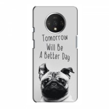 Чехлы с собаками для OnePlus 7T (VPrint) Смешной Мопс - купить на Floy.com.ua