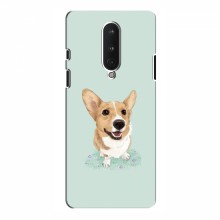Чехлы с собаками для OnePlus 8 (VPrint)