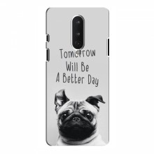 Чехлы с собаками для OnePlus 8 (VPrint) Смешной Мопс - купить на Floy.com.ua