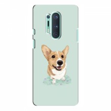 Чехлы с собаками для OnePlus 8 Pro (VPrint) - купить на Floy.com.ua