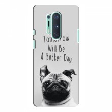 Чехлы с собаками для OnePlus 8 Pro (VPrint) Смешной Мопс - купить на Floy.com.ua