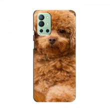 Чехлы с собаками для OnePlus 9R (VPrint) кудрявый Щенок Бишон - купить на Floy.com.ua