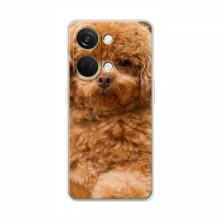 Чехлы с собаками для OnePlus Nord 3 5G (VPrint) кудрявый Щенок Бишон - купить на Floy.com.ua