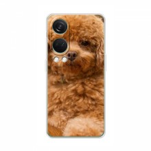 Чехлы с собаками для OnePlus Nord 4 (VPrint) кудрявый Щенок Бишон - купить на Floy.com.ua