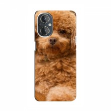 Чехлы с собаками для OnePlus Nord N20 (VPrint) кудрявый Щенок Бишон - купить на Floy.com.ua