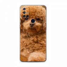 Чехлы с собаками для OnePlus Nord N10 5G (VPrint) кудрявый Щенок Бишон - купить на Floy.com.ua