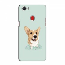 Чехлы с собаками для OPPO F7 (VPrint) - купить на Floy.com.ua