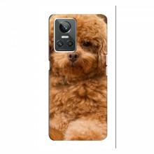 Чехлы с собаками для RealMe 10 Pro (VPrint) кудрявый Щенок Бишон - купить на Floy.com.ua