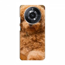 Чехлы с собаками для RealMe 11 Pro (VPrint) кудрявый Щенок Бишон - купить на Floy.com.ua