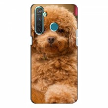 Чехлы с собаками для RealMe 5 (VPrint) кудрявый Щенок Бишон - купить на Floy.com.ua