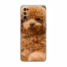 Чехлы с собаками для RealMe 7 (VPrint) кудрявый Щенок Бишон - купить на Floy.com.ua