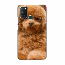 Чехлы с собаками для RealMe 7i (VPrint) кудрявый Щенок Бишон - купить на Floy.com.ua