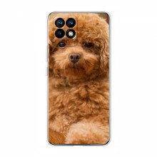 Чехлы с собаками для RealMe 8i (VPrint) кудрявый Щенок Бишон - купить на Floy.com.ua