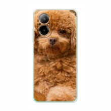 Чехлы с собаками для RealMe C67 (VPrint) кудрявый Щенок Бишон - купить на Floy.com.ua