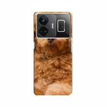 Чехлы с собаками для RealMe GT Neo 5 (VPrint) кудрявый Щенок Бишон - купить на Floy.com.ua