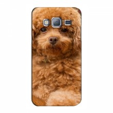 Чехлы с собаками для Samsung J3, J300, J300H (VPrint) кудрявый Щенок Бишон - купить на Floy.com.ua