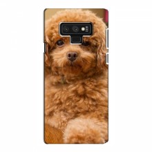 Чехлы с собаками для Samsung Note 9 (VPrint) кудрявый Щенок Бишон - купить на Floy.com.ua