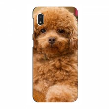 Чехлы с собаками для Samsung Galaxy A10e (VPrint) кудрявый Щенок Бишон - купить на Floy.com.ua