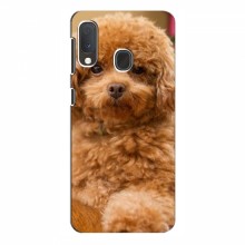 Чехлы с собаками для Samsung Galaxy A20e (VPrint) кудрявый Щенок Бишон - купить на Floy.com.ua
